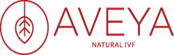 professional website design companies